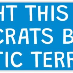 "I Bought This Before Democrats Became Domestic Terrorists" - Bumper Sticker